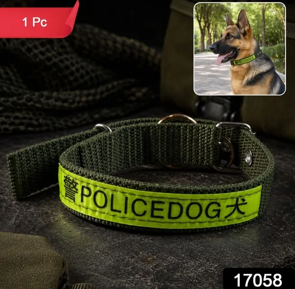 Nylon_Dog_Collar