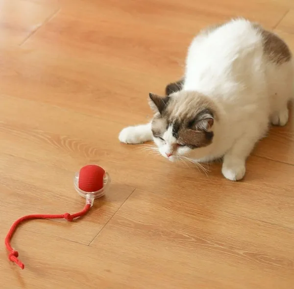 Interactive_Cat_Toy_Ball_With_Led