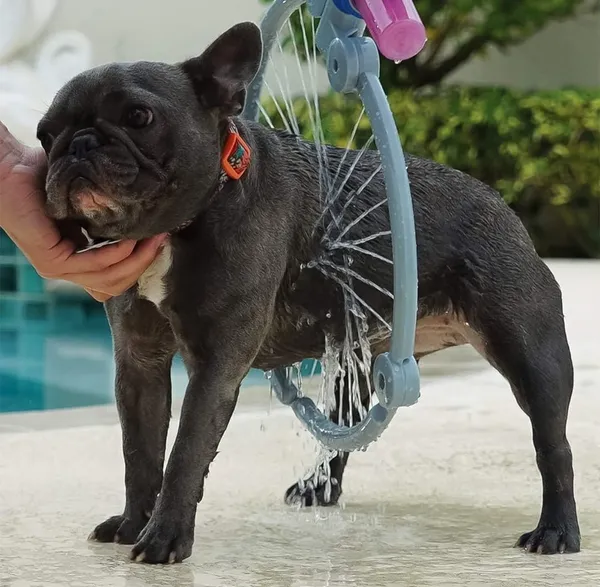 Pet_Shower_Sprayer_360_Degree_Cat_And_Dog_Grooming_Kit