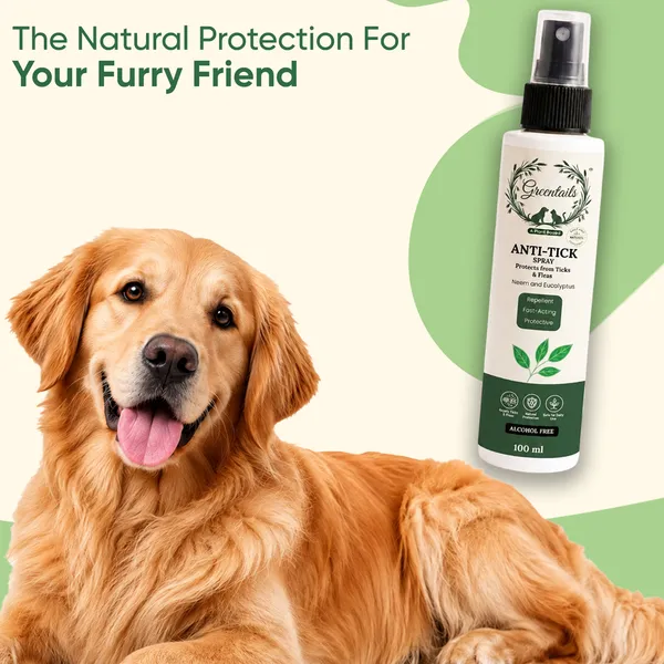 Basic_Pet_Care_Grooming_Kit,_Pack_Of_4_(Neem_Shampoo_200_Ml,_Conditioner+Shampoo_200_Ml,_Anti-Tick_Spray_100_Ml_And_Paw_Balm_15_Gm)