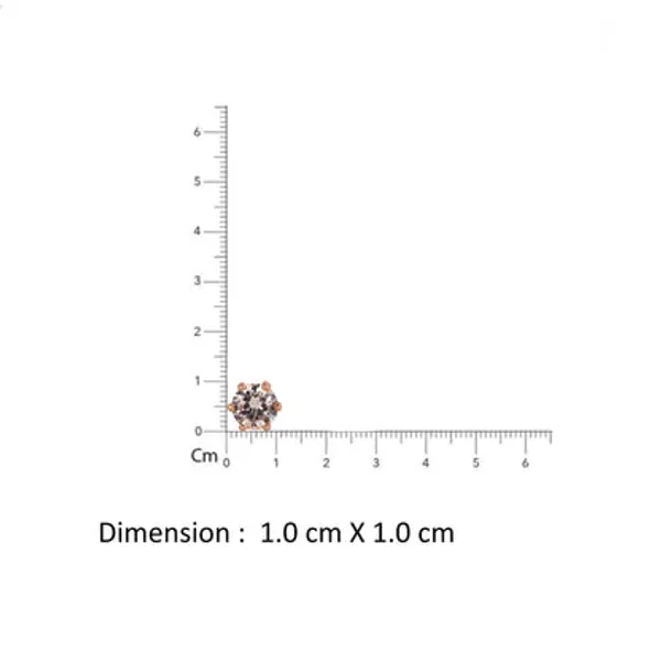 Rose_Gold_925_Silver_Zircon_Faceted_Stud_Earrings_For_Women