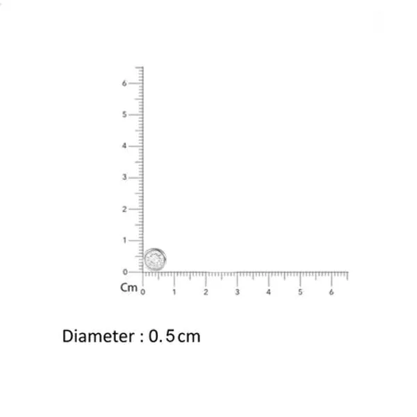 Silver_925_Sterling_Zirconia_South_Screw_Stud_For_Women