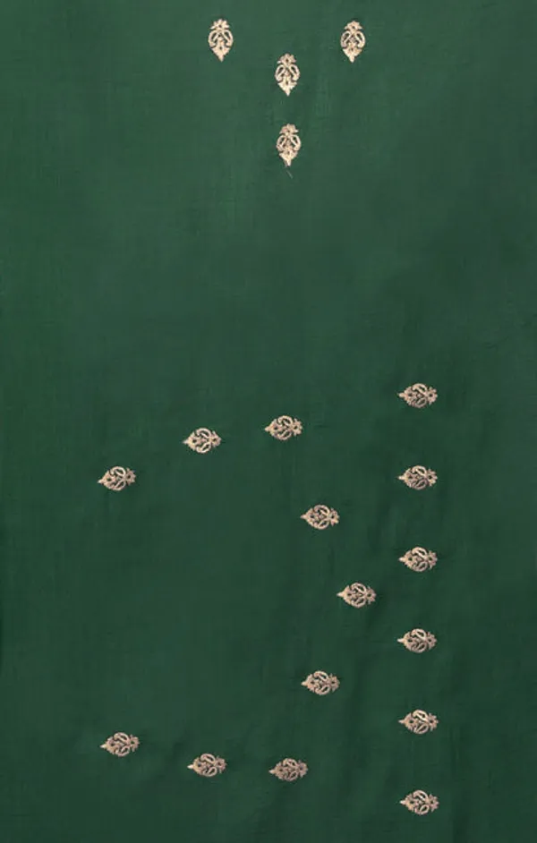 Catalog_Designer_Embroidery_Work_Saree