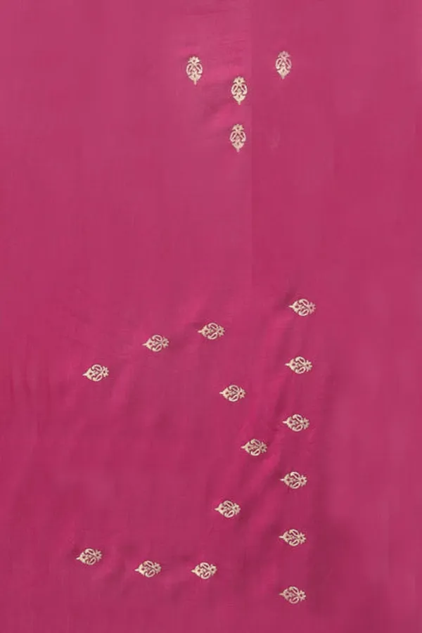 Catalog_Designer_Embroidery_Work_Saree