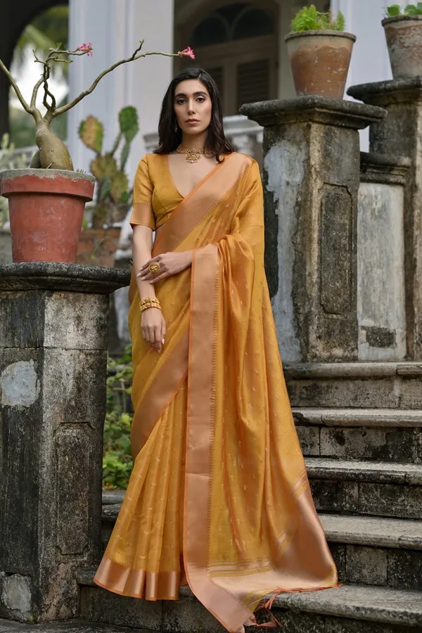 Catalog_Designer_Saree
