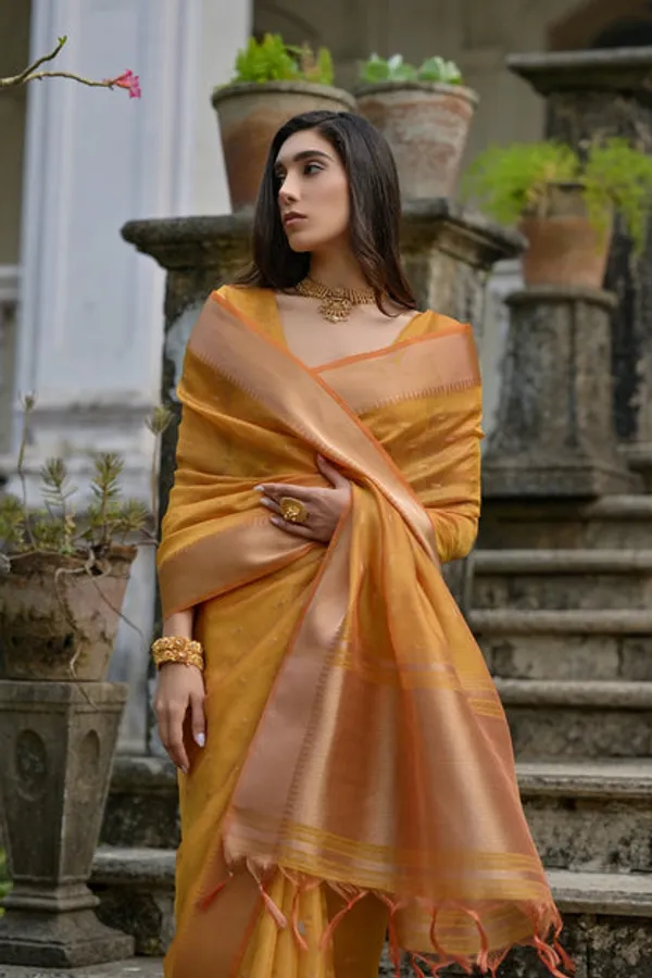 Catalog_Designer_Saree