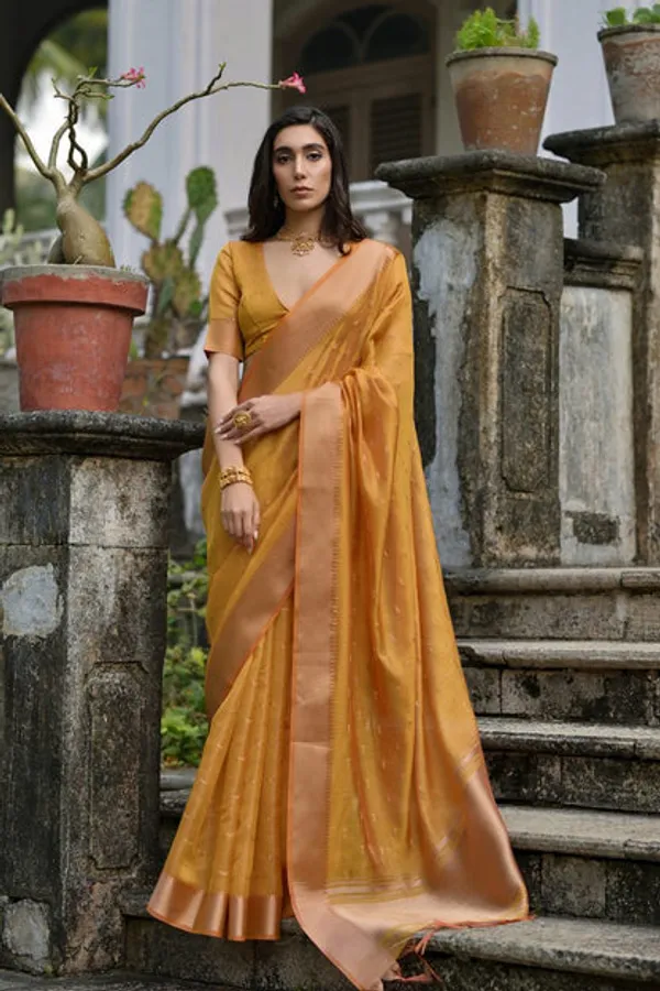 Catalog_Designer_Saree