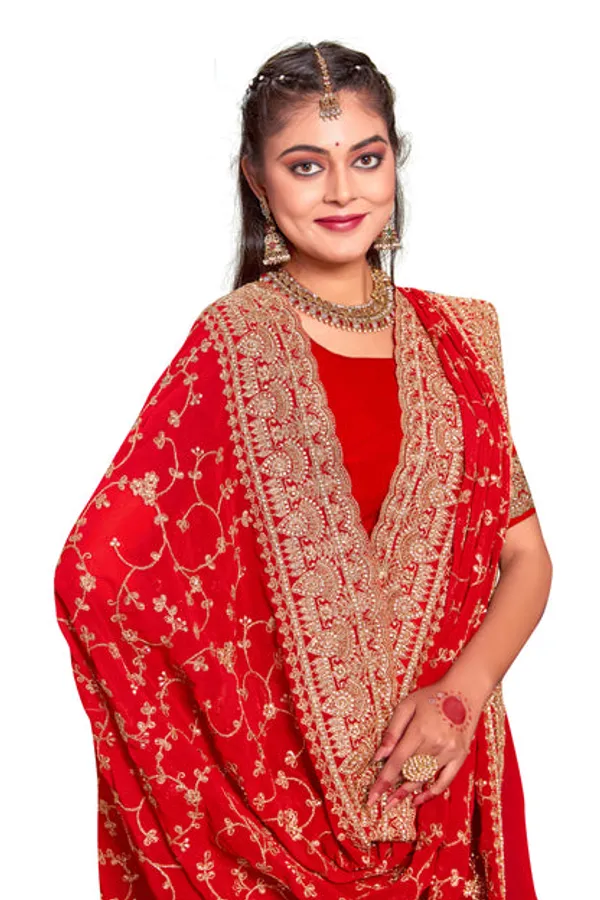 Catalog_Designer_Embroidery_Work_Saree