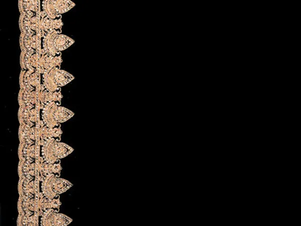 Catalog_Designer_Embroidery_Work_Saree