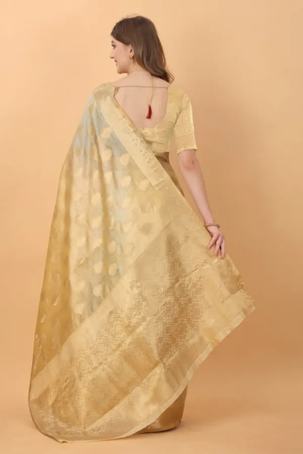 Catalog_Designer_Saree