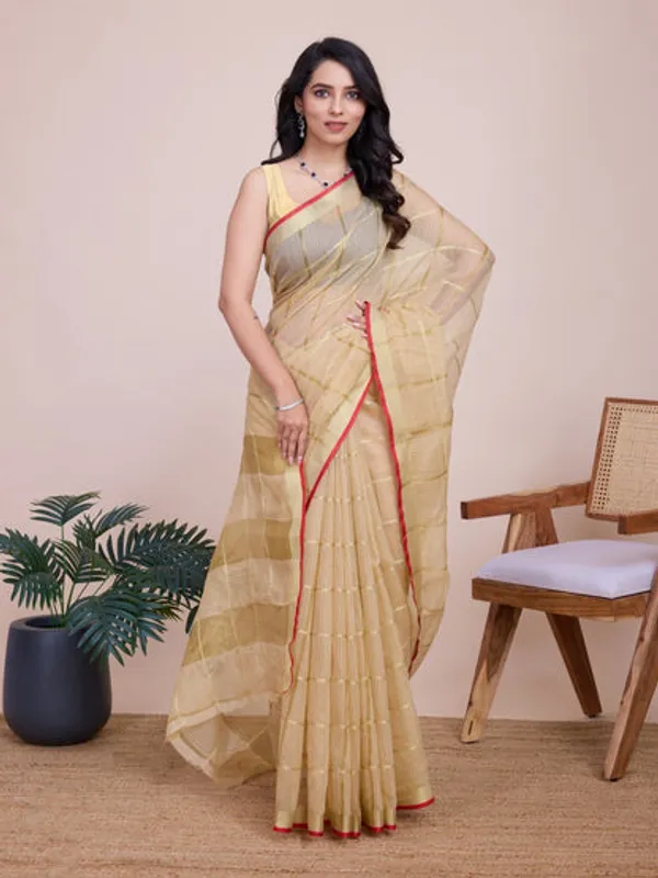 Catalog_Designer_Saree