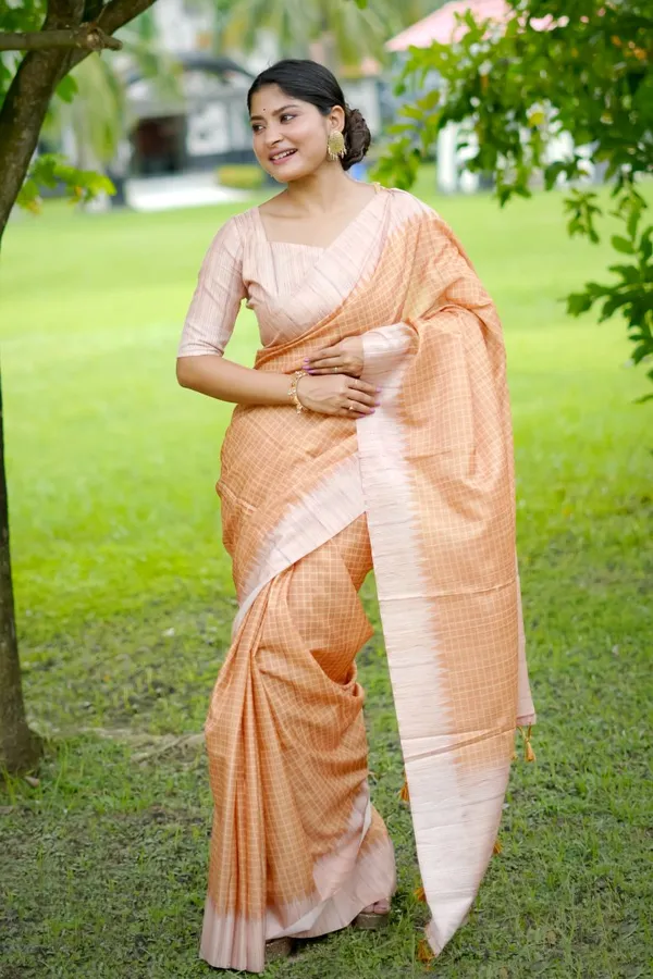Catalog_Designer_Saree