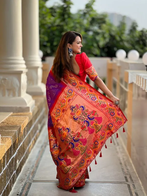 Catalog_Designer_Saree