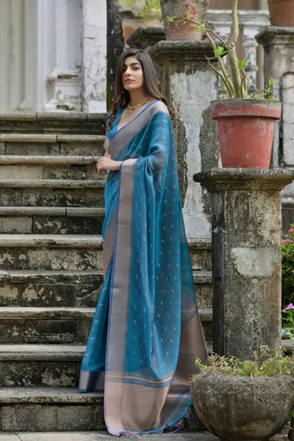 Catalog_Designer_Saree