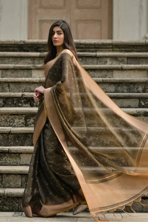 Catalog_Designer_Saree