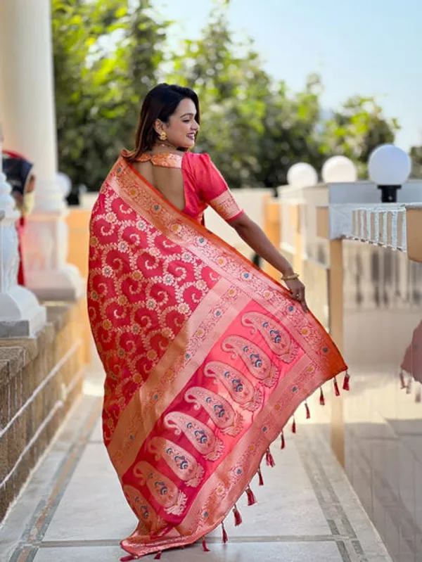 Catalog_Designer_Saree
