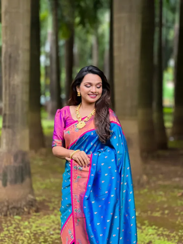 Catalog_Designer_Saree