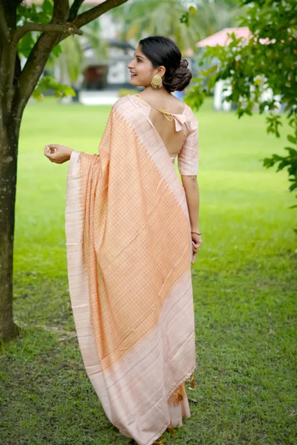 Catalog_Designer_Saree