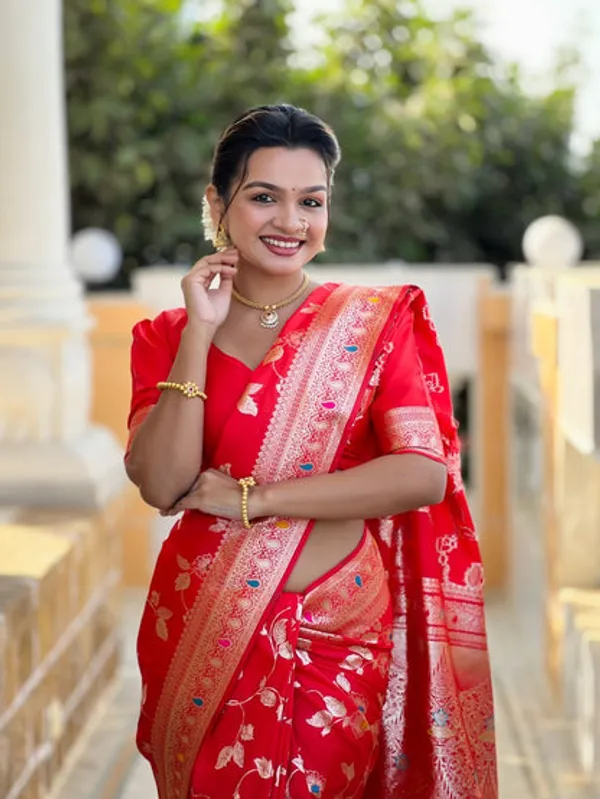 Catalog_Designer_Saree
