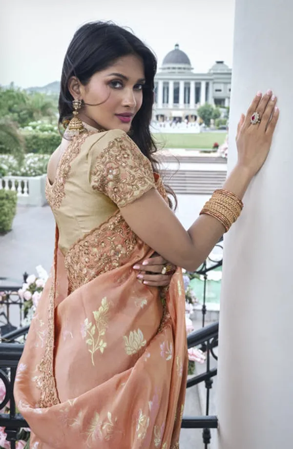 Catalog_Designer_Saree