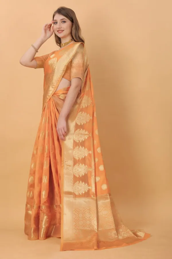 Catalog_Designer_Saree