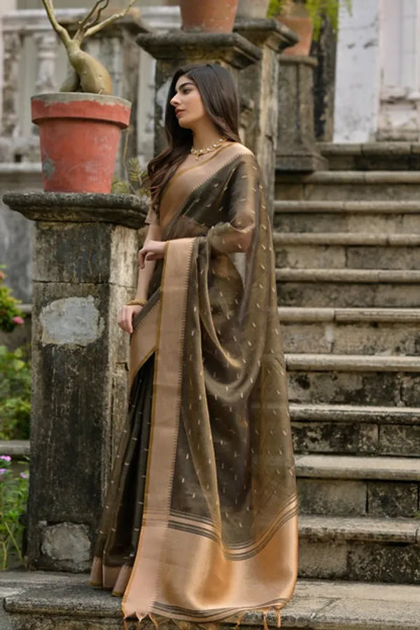 Catalog_Designer_Saree