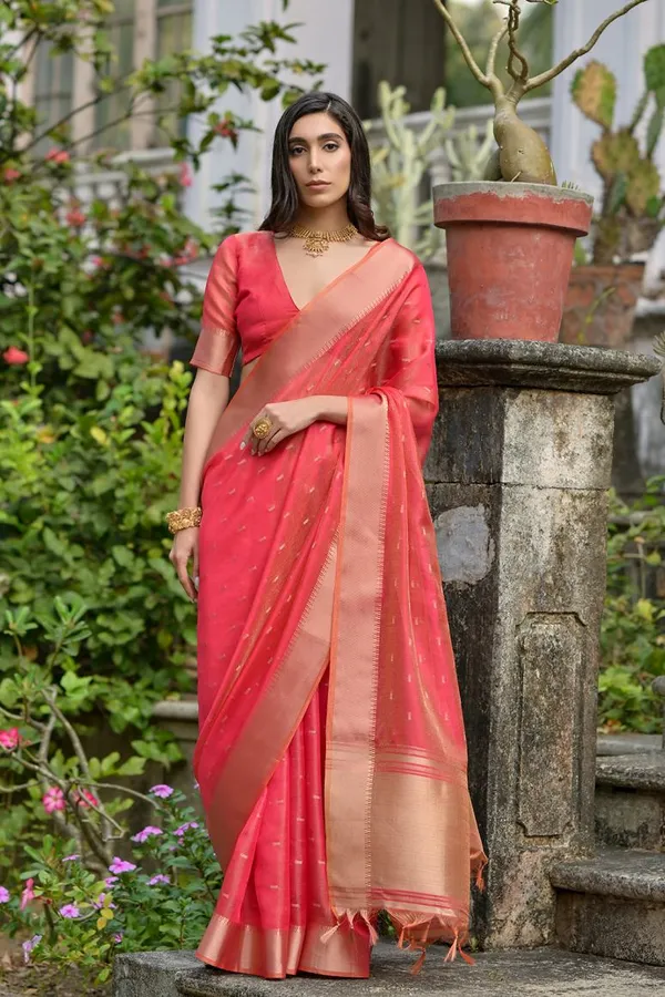 Catalog_Designer_Saree