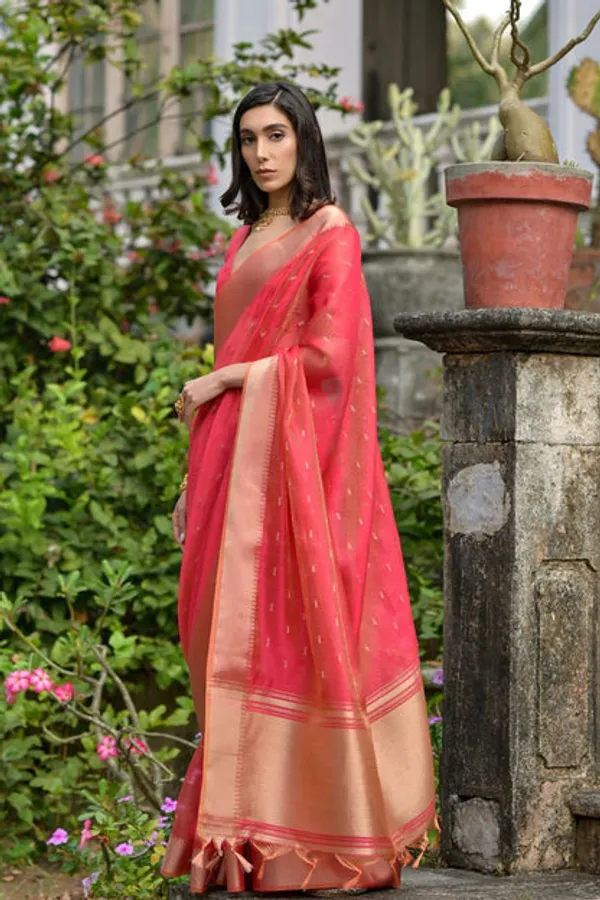 Catalog_Designer_Saree