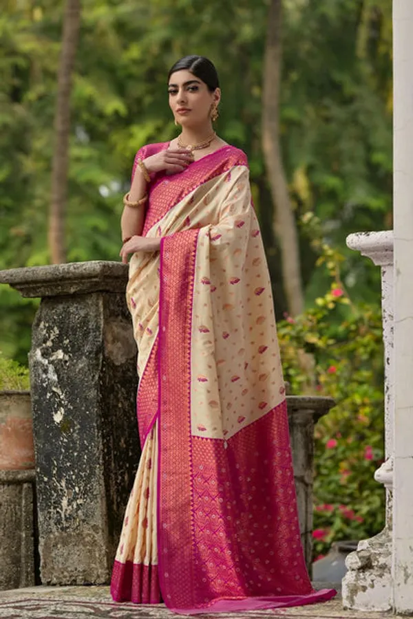 Catalog_Designer_Saree