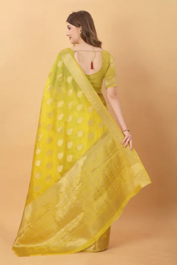 Catalog_Designer_Saree