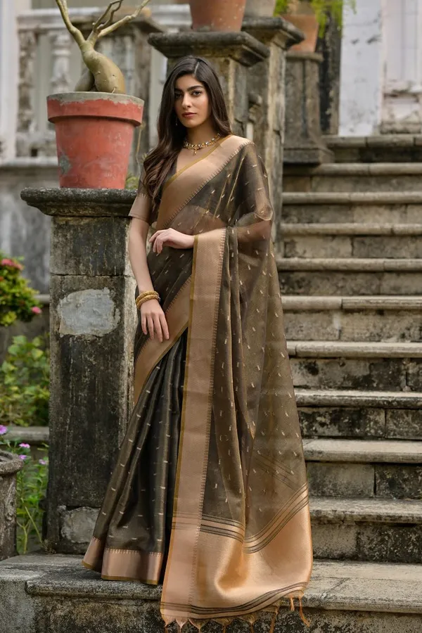 Catalog_Designer_Saree