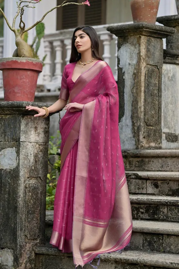 Catalog_Designer_Saree