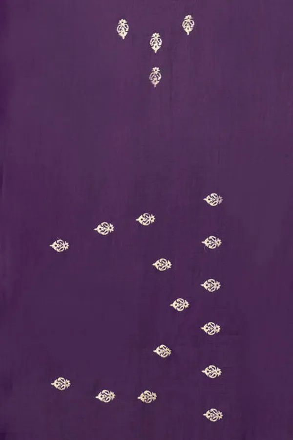 Catalog_Designer_Embroidery_Work_Saree