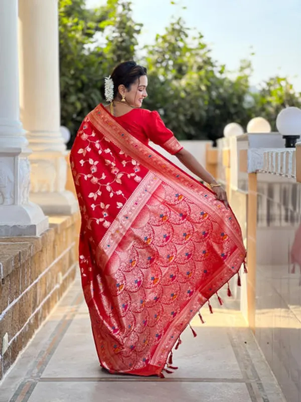 Catalog_Designer_Saree