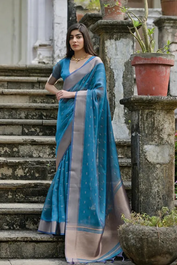 Catalog_Designer_Saree