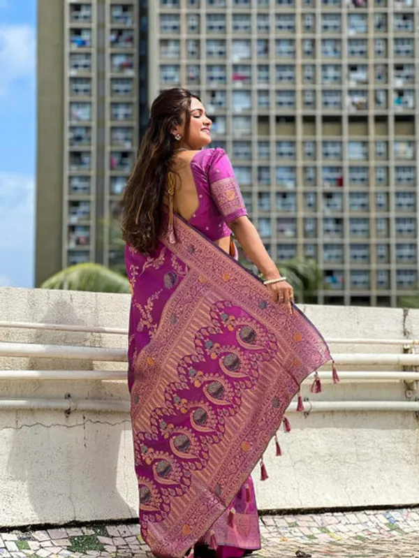 Catalog_Designer_Saree