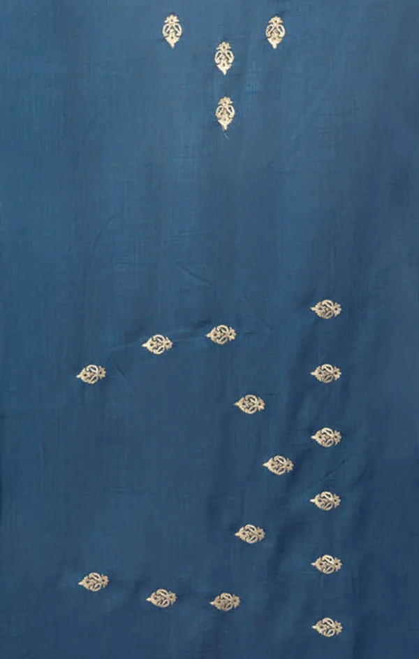 Catalog_Designer_Embroidery_Work_Saree