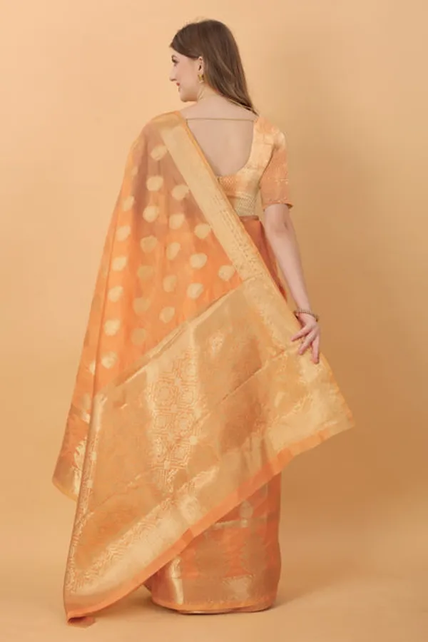 Catalog_Designer_Saree
