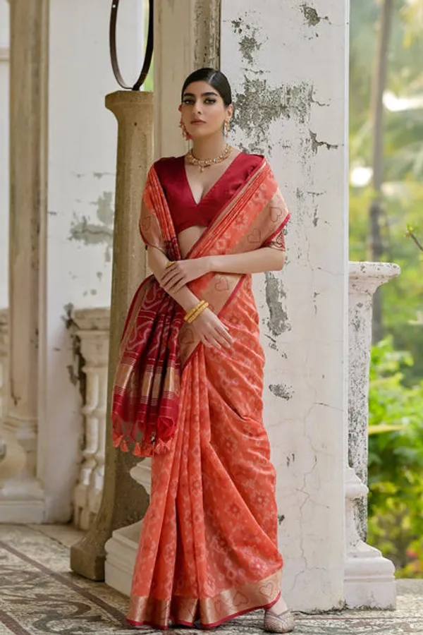 Catalog_Designer_Saree