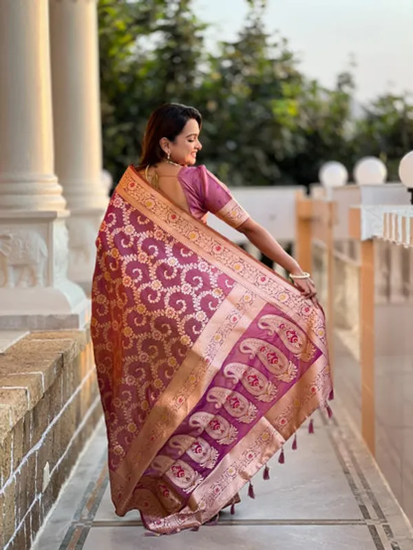Catalog_Designer_Saree