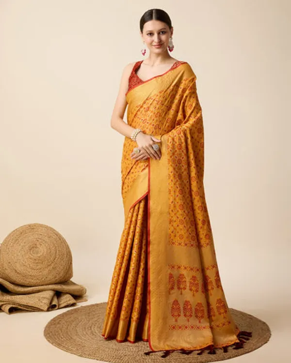 Catalog_Designer_Saree