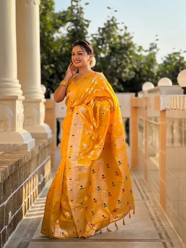 Catalog_Designer_Saree