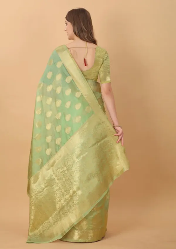 Catalog_Designer_Saree