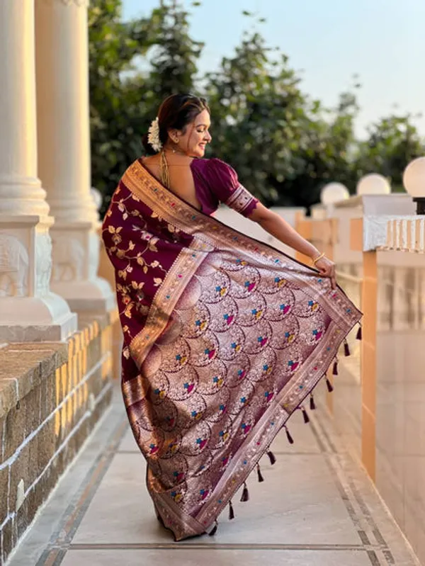 Catalog_Designer_Saree