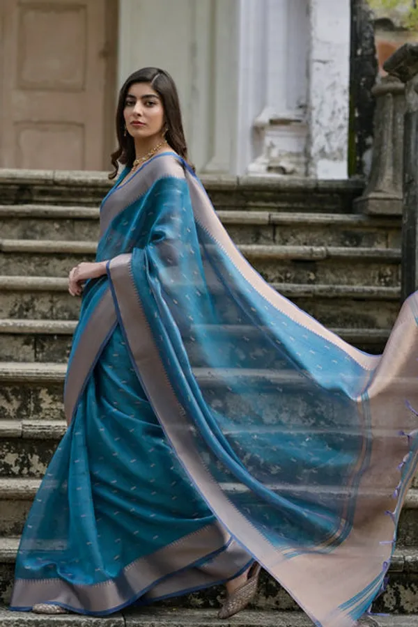 Catalog_Designer_Saree