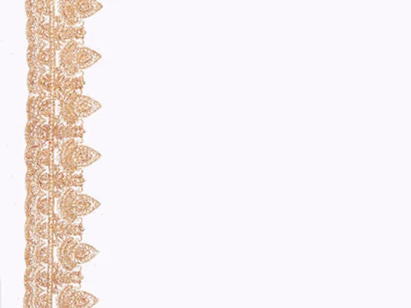 Catalog_Designer_Embroidery_Work_Saree