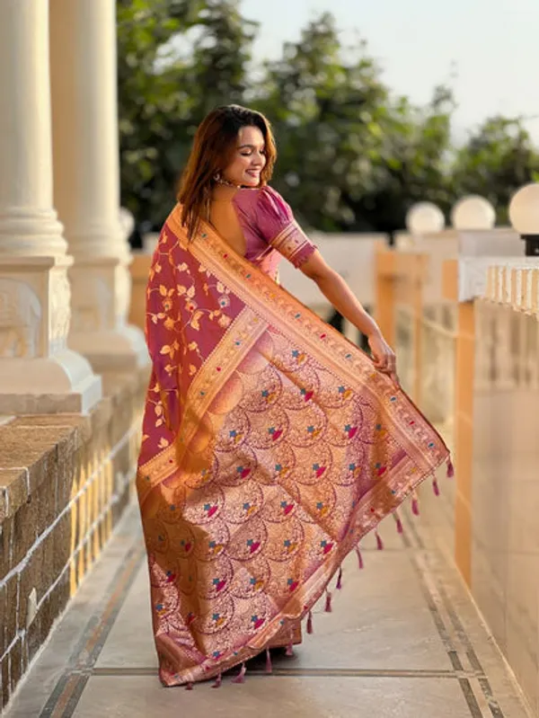 Catalog_Designer_Saree
