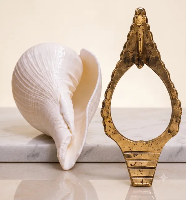 Premium_Natural_Shankh_(Conch)_with_Free_Brass_Stand_for_Puja_&_Home_Temple