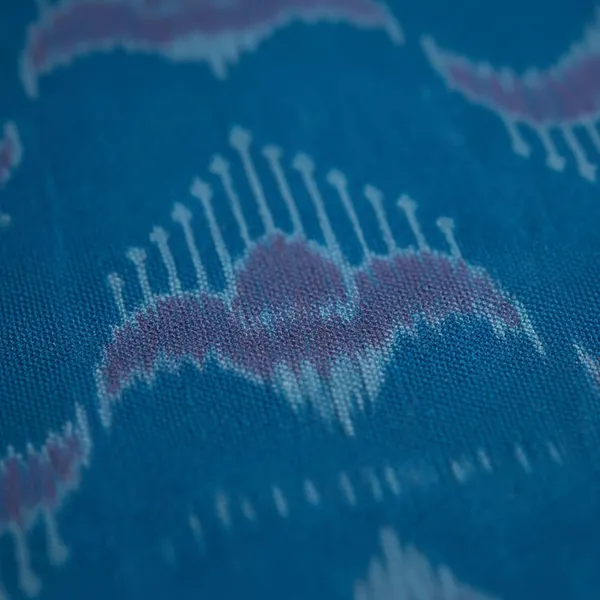 Women_S_Cotton_Ikat_Printed_Kurti