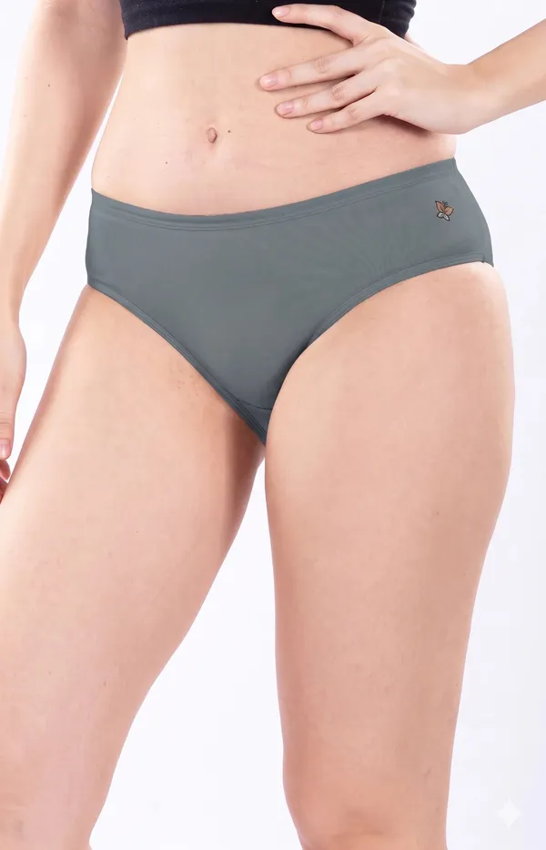 Brown_Full_Coverage_Brief_Panty_for_Women_-_Pack_of_2